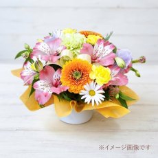 画像1: フラワーアレンジメントS (1)
