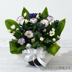画像2: お供え用アレンジメントM【菊メイン】 (2)