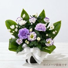 画像1: お供え用アレンジメントM【菊メイン】 (1)
