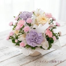 淡い色合い