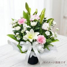 白・ピンク系