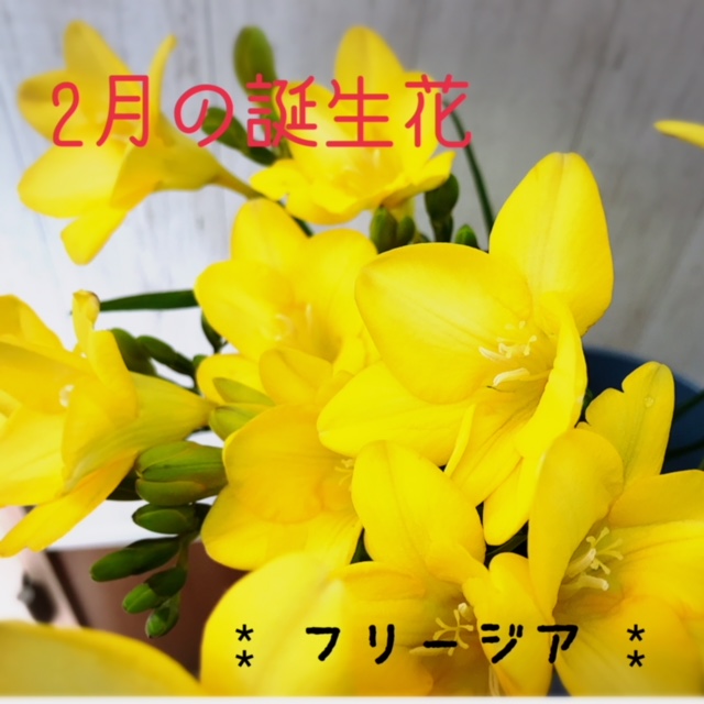 ２月の誕生花